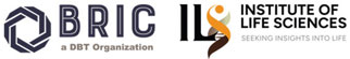ILS Logo