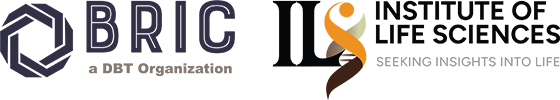 BRIC-ILS